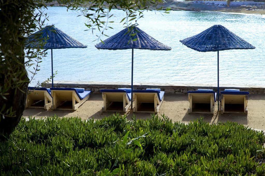 Maya Bistro Hotel&Beach Siğacık Exterior foto